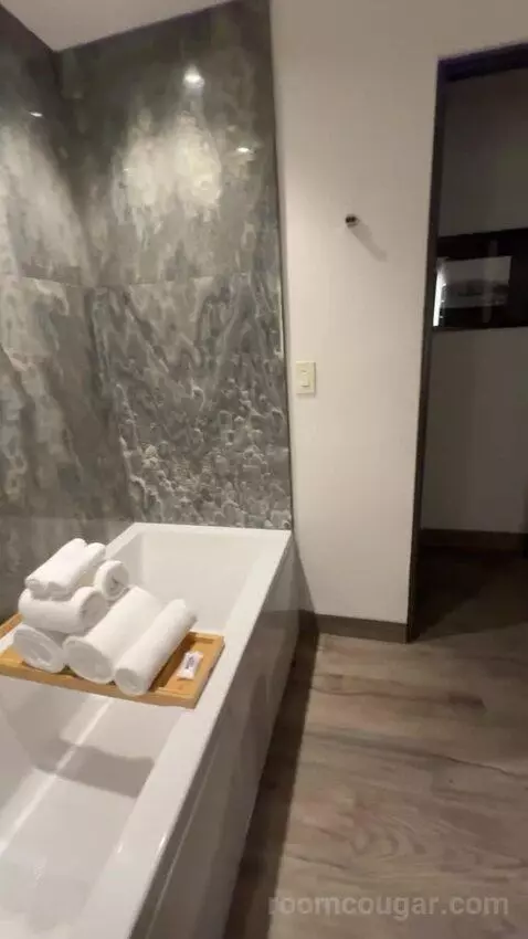 Vip Luxury Suite bathroom picture #6