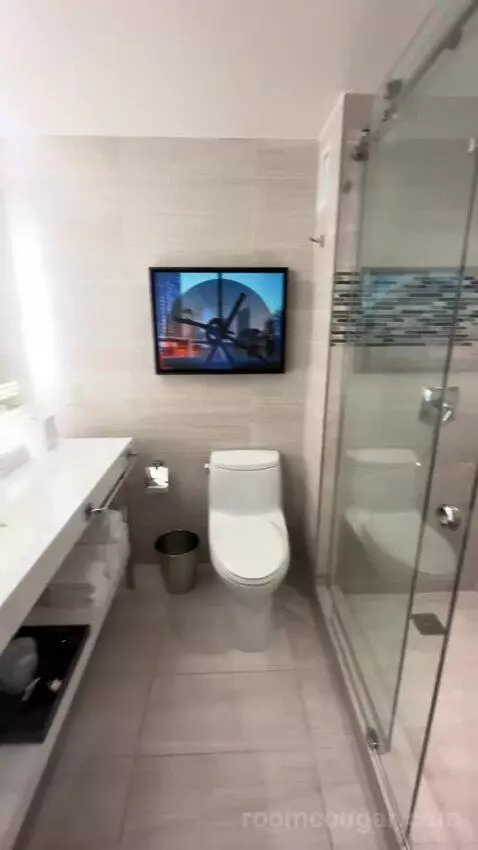 Vip Luxury Suite bathroom picture #3