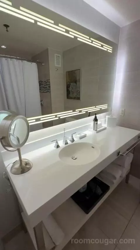 Queen Room with Two Queen Beds and City View bathroom picture #3