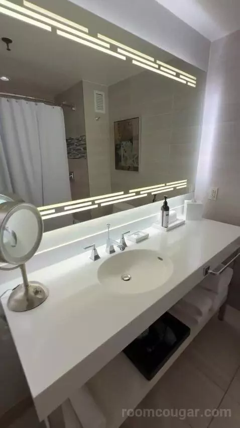 Queen Room with Two Queen Beds and City View bathroom picture #4