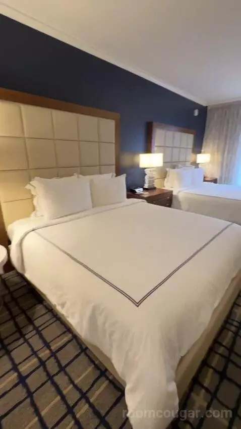 Deluxe Guest Room, 2 King Beds bed picture #4