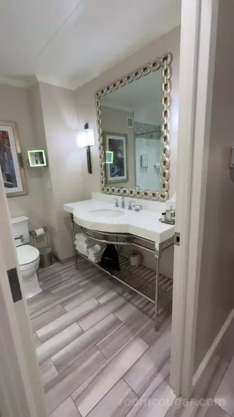 Deluxe Guest Room, 2 King Beds bathroom picture #2