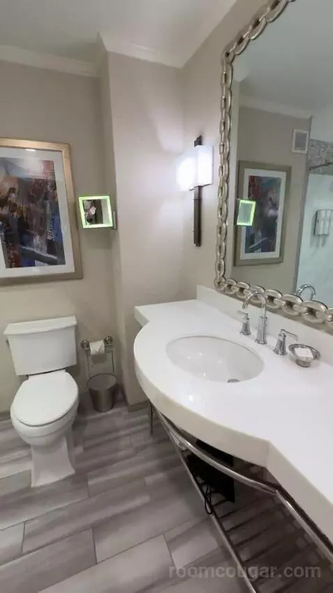 Deluxe Guest Room, 2 King Beds bathroom picture #5