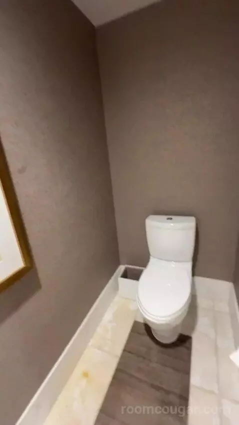 Grand Presidential Suite bathroom picture #5