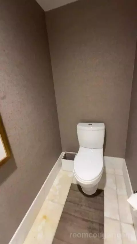 Grand Presidential Suite bathroom picture #6