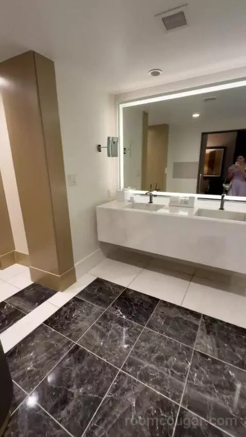 Grand Presidential Suite bathroom picture #8