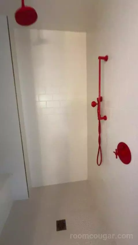 King Room bathroom picture #9