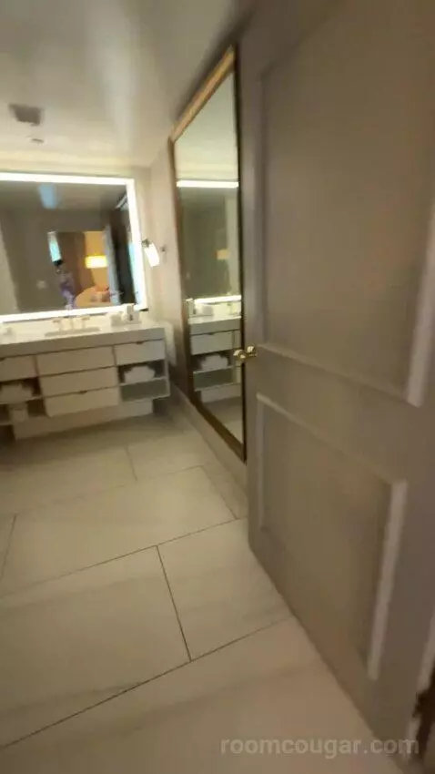Metropolitan Suite bathroom picture #5