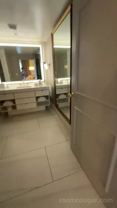 Metropolitan Suite bathroom picture #6