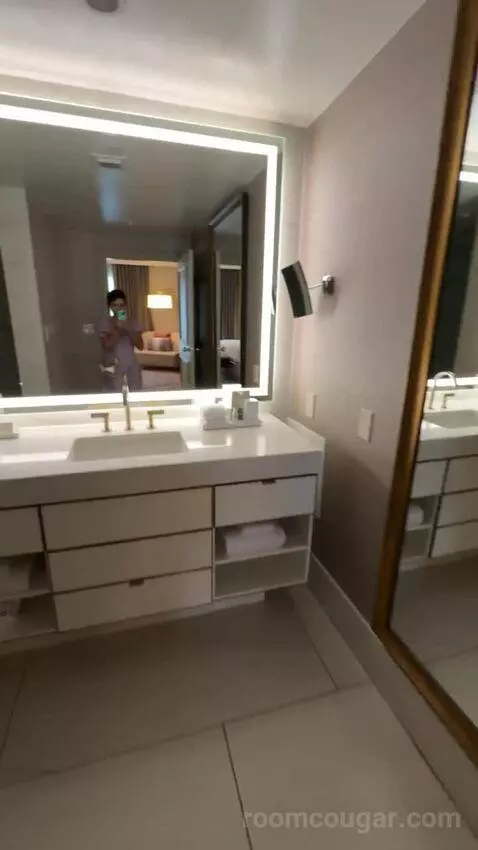 Metropolitan Suite bathroom picture #7