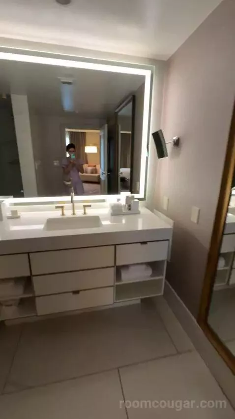 Metropolitan Suite bathroom picture #8