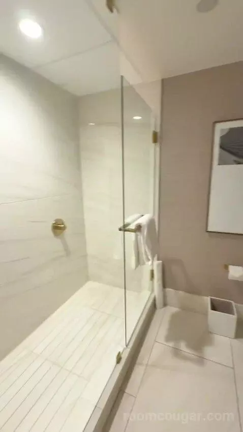 Metropolitan Suite bathroom picture #9