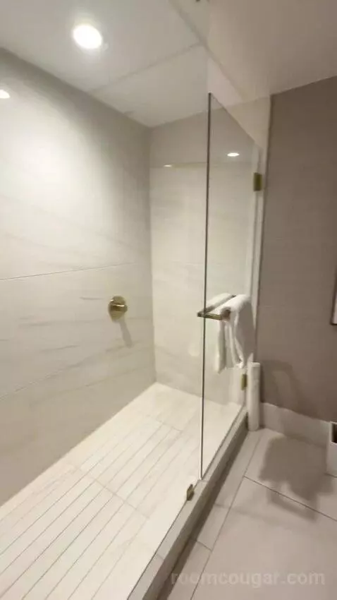 Metropolitan Suite bathroom picture #10