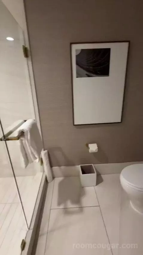 Metropolitan Suite bathroom picture #12