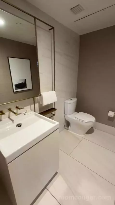 Metropolitan Suite bathroom picture #1