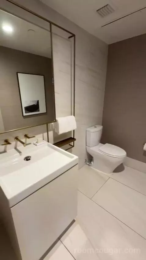 Metropolitan Suite bathroom picture #2