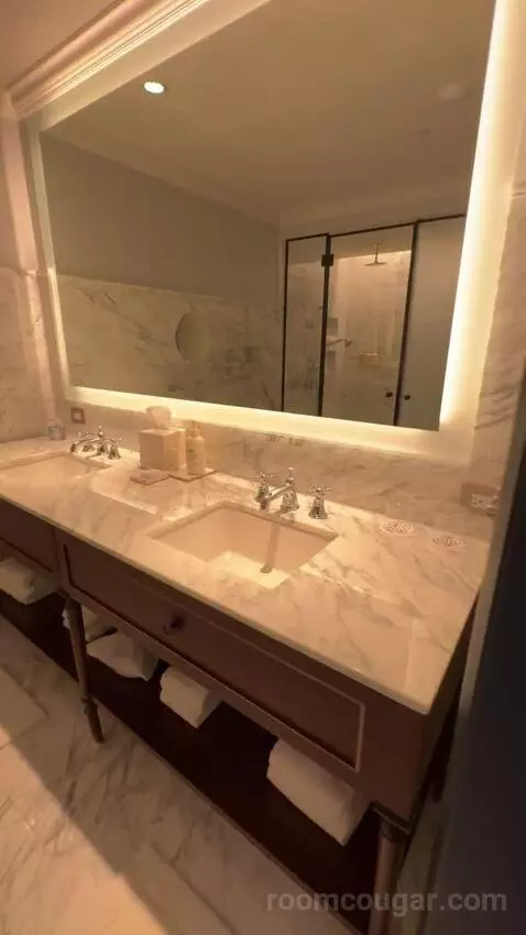 Elite King bathroom picture #2