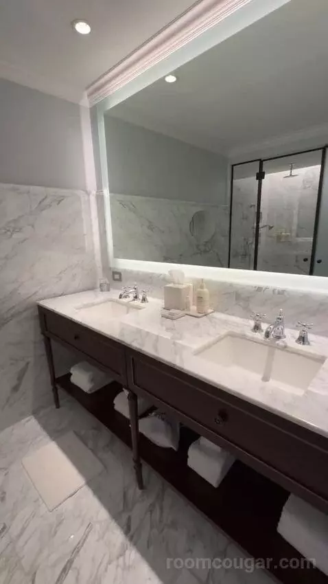 Elite King bathroom picture #4