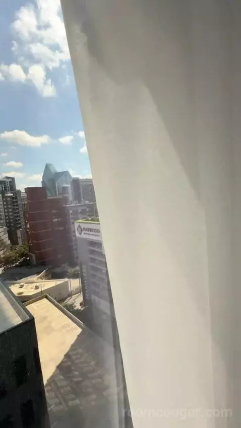 Elite King view picture #1