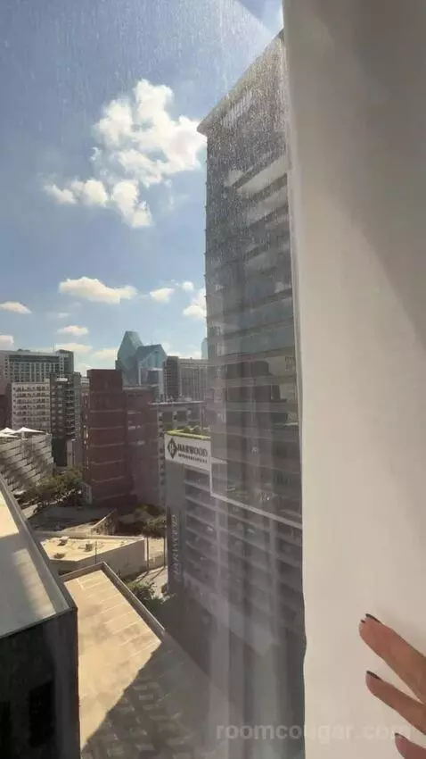 Elite King view picture #4