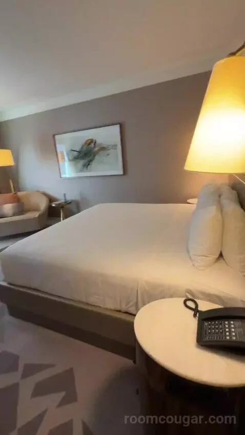 Superior King Room bed picture #4