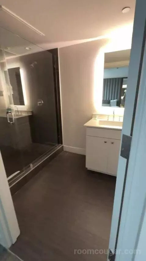 Luxury Suite bathroom picture #7
