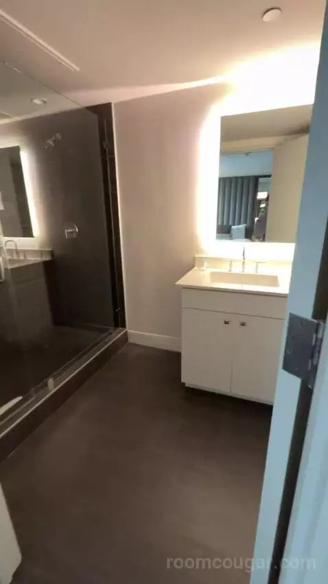 Luxury Suite bathroom picture #8