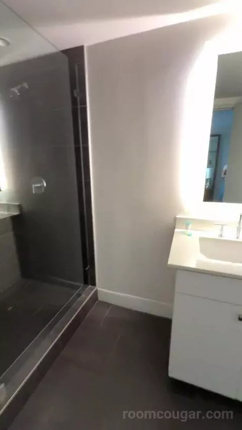 Luxury Suite bathroom picture #9