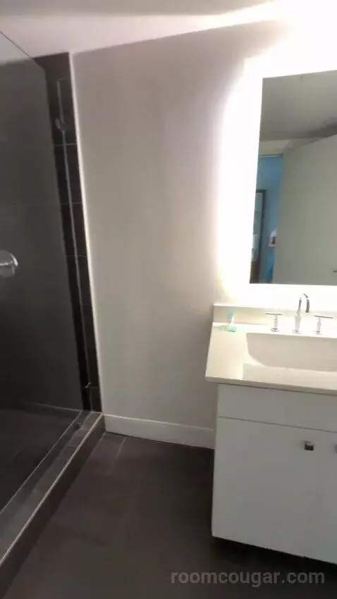 Luxury Suite bathroom picture #10