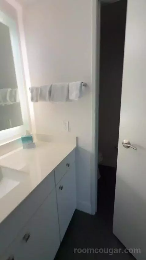 Luxury Suite bathroom picture #11
