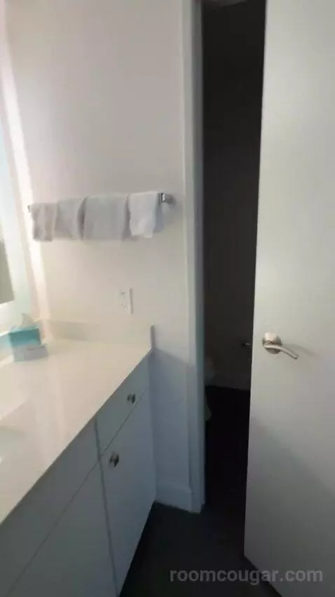 Luxury Suite bathroom picture #12