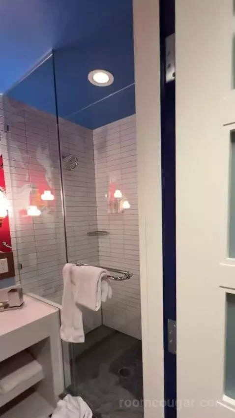 Double Room bathroom picture #2