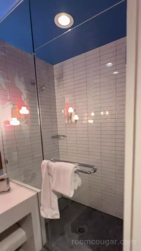 Double Room bathroom picture #4