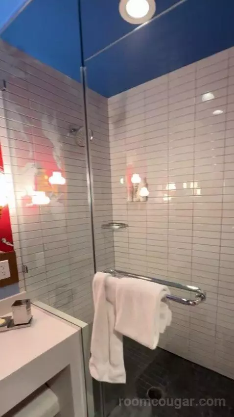Double Room bathroom picture #5