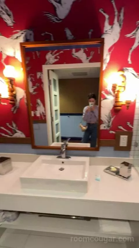 Double Room bathroom picture #7