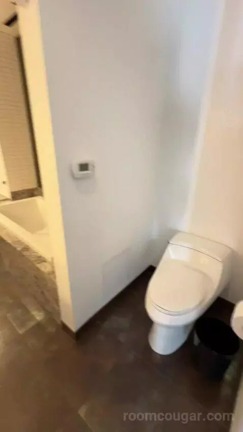Presidential Suite bathroom picture #1