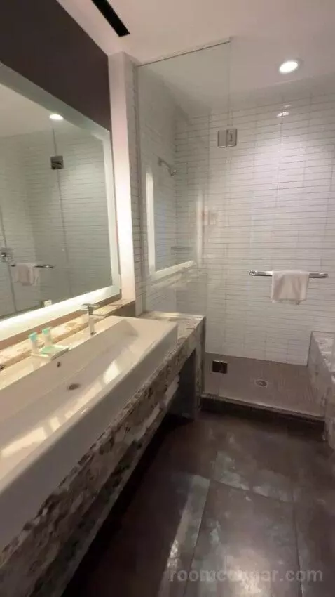 Presidential Suite bathroom picture #5