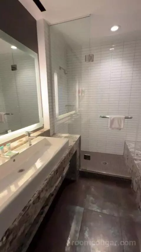 Presidential Suite bathroom picture #6