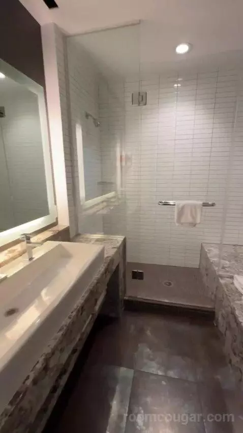 Presidential Suite bathroom picture #7