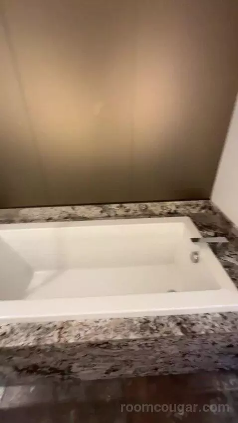 Presidential Suite bathroom picture #9