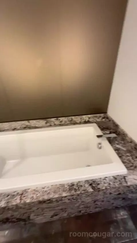 Presidential Suite bathroom picture #10
