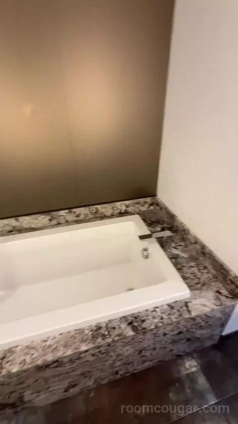 Presidential Suite bathroom picture #11