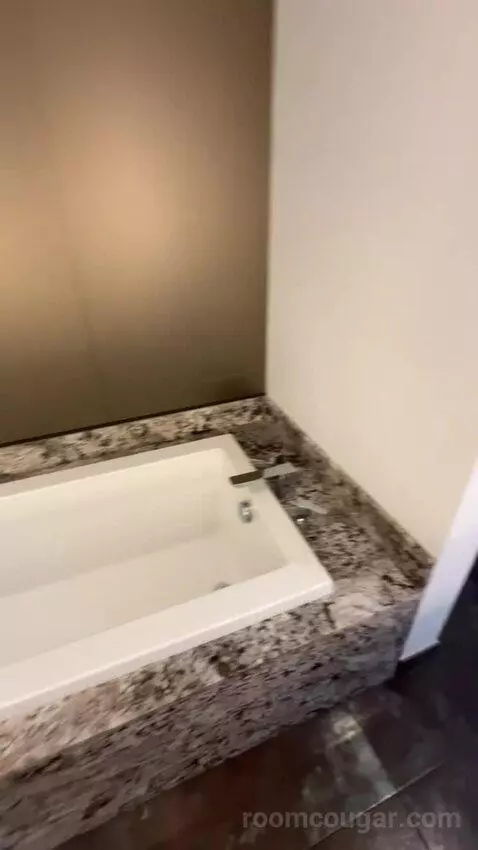 Presidential Suite bathroom picture #12