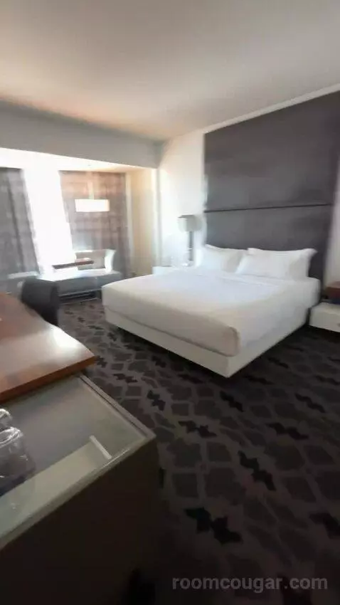 Marvelous Suite, 1 Bedroom Suite, 1 King, City View bed picture #5