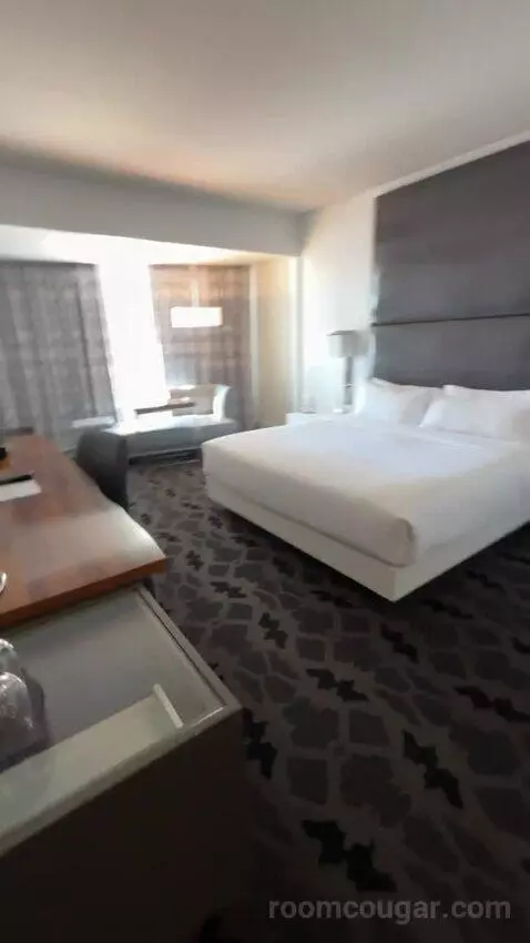 Marvelous Suite, 1 Bedroom Suite, 1 King, City View bed picture #6