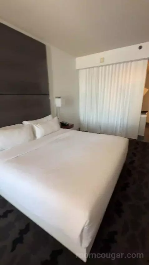 Marvelous Suite, 1 Bedroom Suite, 1 King, City View bed picture #8