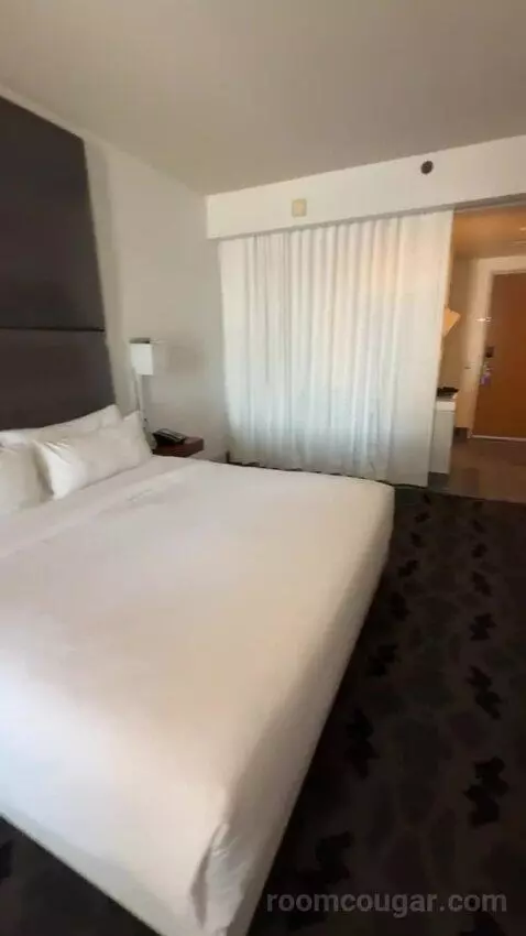 Marvelous Suite, 1 Bedroom Suite, 1 King, City View bed picture #9