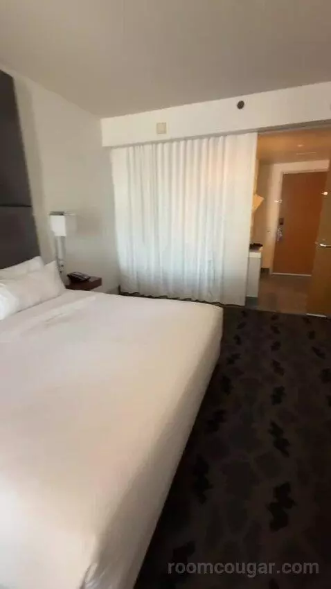 Marvelous Suite, 1 Bedroom Suite, 1 King, City View bed picture #10