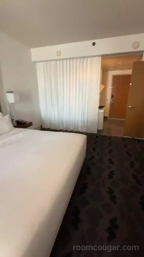 Marvelous Suite, 1 Bedroom Suite, 1 King, City View bed picture #11