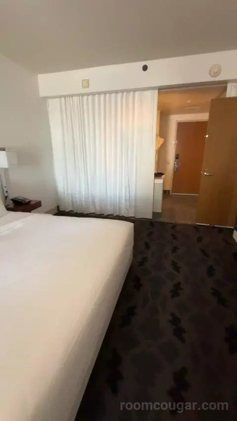 Marvelous Suite, 1 Bedroom Suite, 1 King, City View bed picture #12